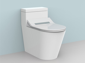 intelligent toilet seat intelligent toilet seat