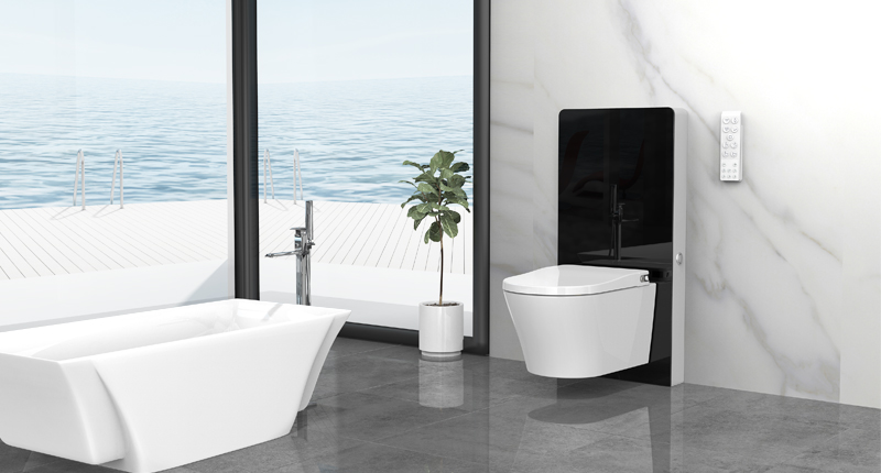 Oceanwell Smart toilet with glass Cabinet toilet Cistern