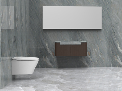automatic Smart Toilet