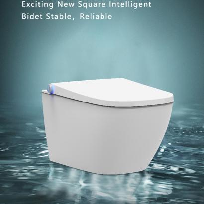 Popular Smart Toilet