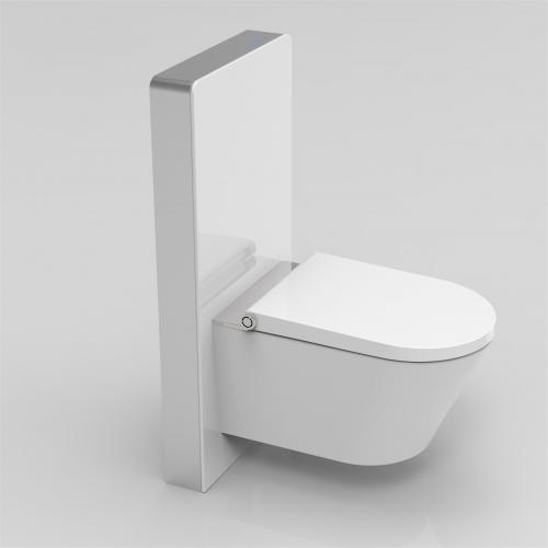 Advanced smart toilet