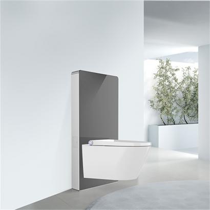 Europe Wall-hung WC Unit