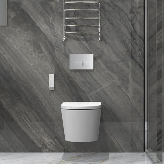 concealed cistern flush plate