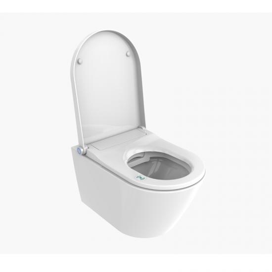 Japanese wall mounted WC unit